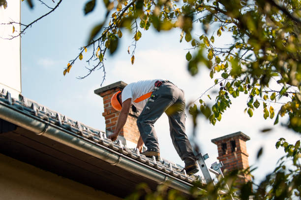 Best Emergency Roof Repair  in Manassas, VA