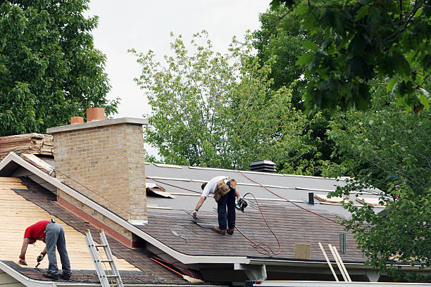Best Roof Gutter Cleaning  in Manassas, VA